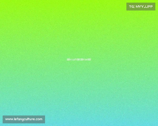 日本krush赛事(日本rise赛事)